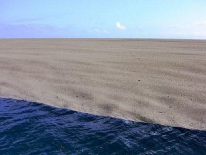 (Photo 2) But there were huge amounts and it almost appeared like a beach.