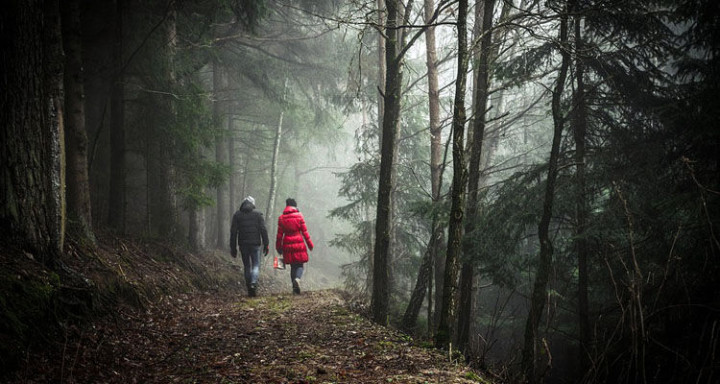 10 Daily Habits of Happy Couples - Cultivate common interests.