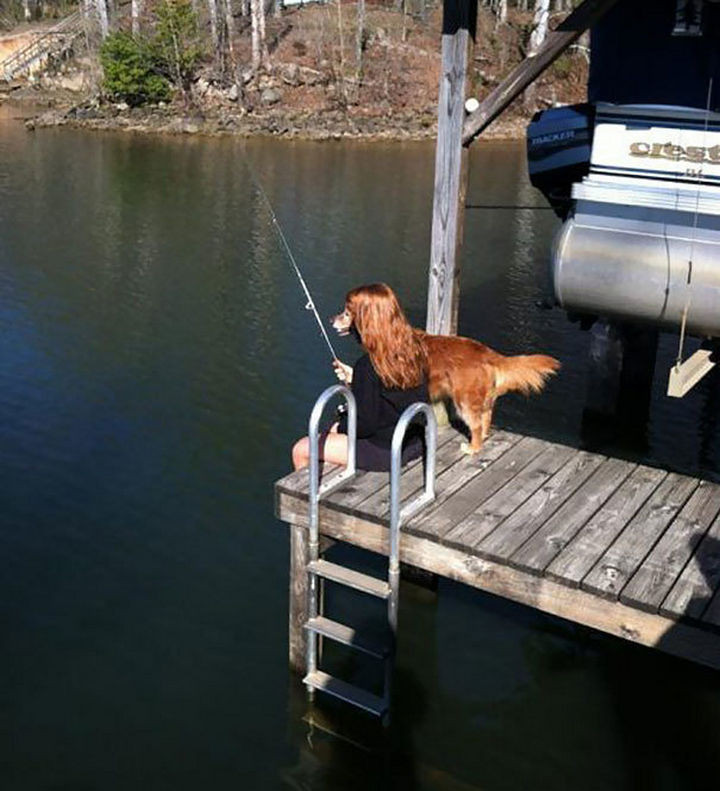 28 Perfectly Timed Photos of People Having a Bad Day - This dog and its human in a perfect spot.