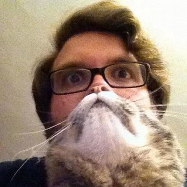 28 Perfectly Timed Photos of People Having a Bad Day - Attack of the cat beards!
