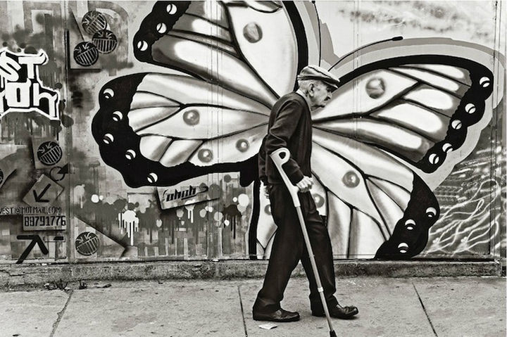 28 Perfectly Timed Photos of People Having a Bad Day - A beautiful butterfly.