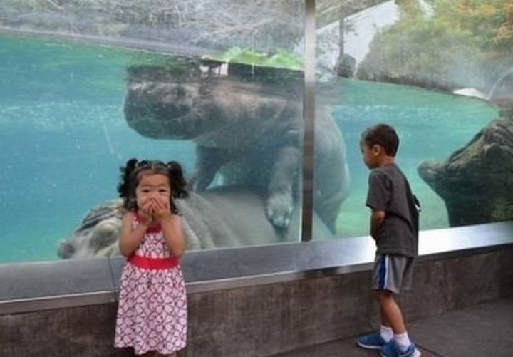 So much for a day of good clean fun at the zoo.