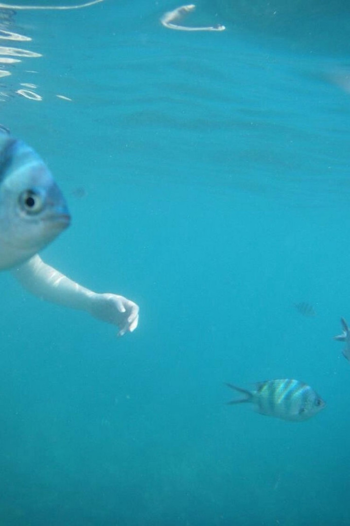 31 Hilariously Misleading Photos - That is not a fish with arms.