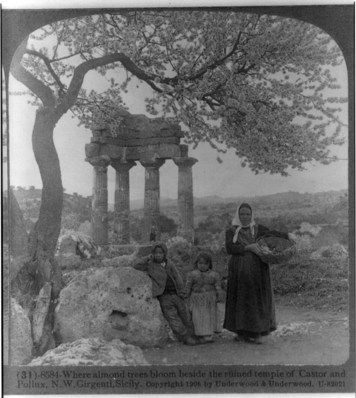 35 Rare Historical Photos - 1906: A family pictured underneath blooming almond trees beside the ruins of the temples of Castor and Pollux in the temples valley of Agrigento, Italy.
