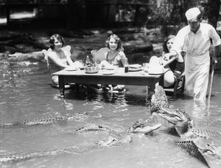 35 Rare Historical Photos - 1920: Three women dining with alligators at The California Alligator Farm in Los Angeles.