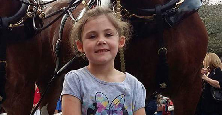 A Little Girl Took a Photo with a Clydesdale. When I Looked up at the Horse’s Face…Hilarious!