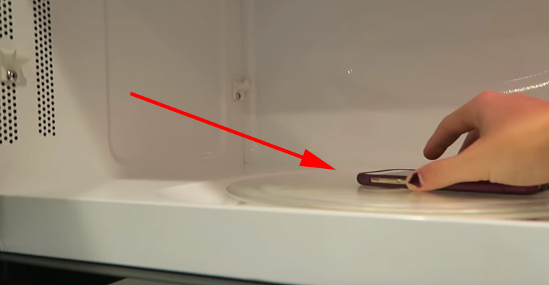 She Put a Cell Phone Inside Her Microwave. Why? Her Reason Will Surprise You.
