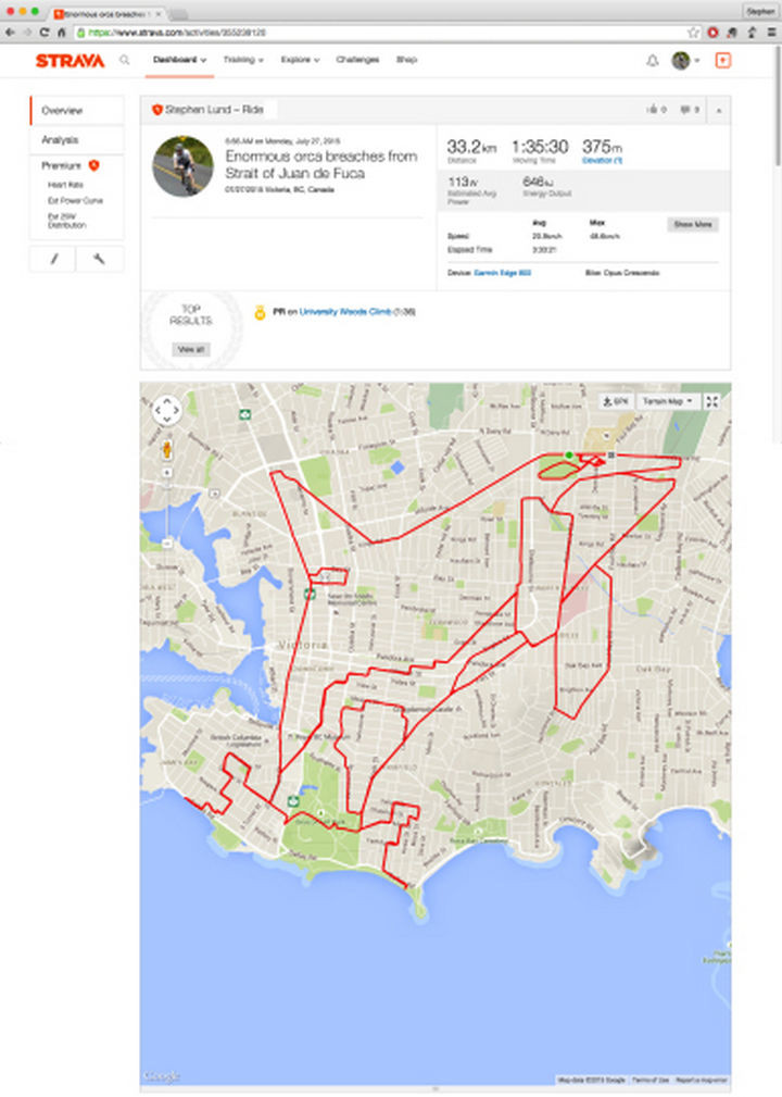Sketchbook of a GPS Artist - This enormous Orca took over 20 miles of cycling to complete.