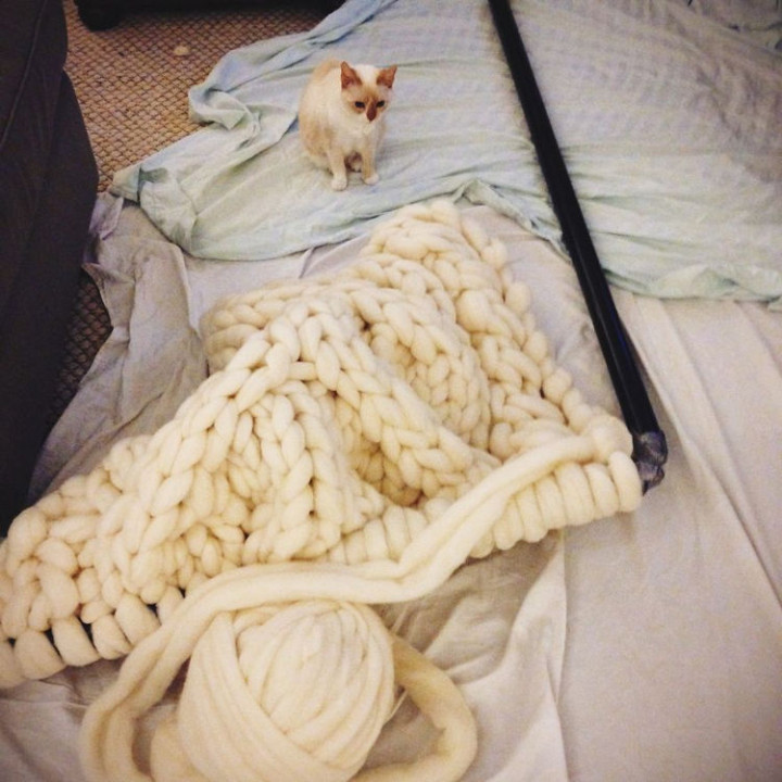 But her other cat Molly also looks like she wants to sleep on the giganto knit blanket too!