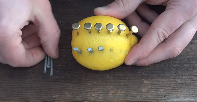 He Stuck Nails into a Lemon. I Couldn’t Believe What He Did Next…Amazing!