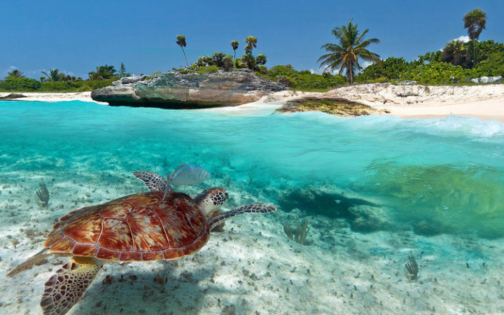 Top 25 Travel Destinations 2016 - Playa Del Carmen, Mexico 03.