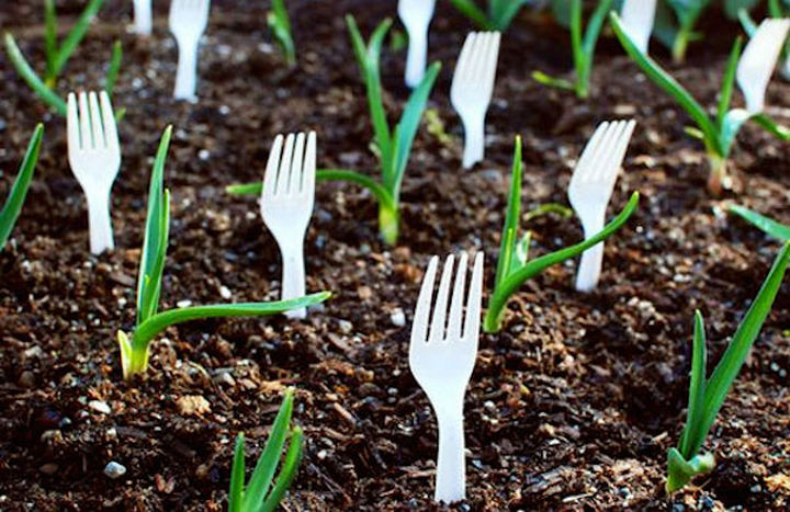 14 DIY Gardening Tips & Projects - Place plastic forks in your garden to deter garden pests.