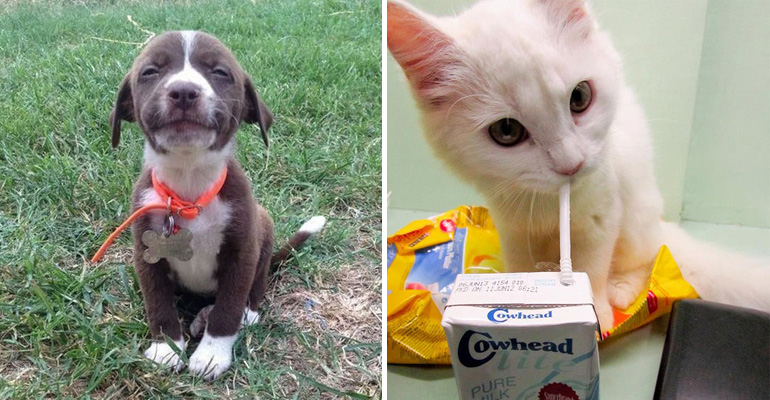 These 46 Happy Images Will Make You Burst with Happiness. Keep on Smiling!