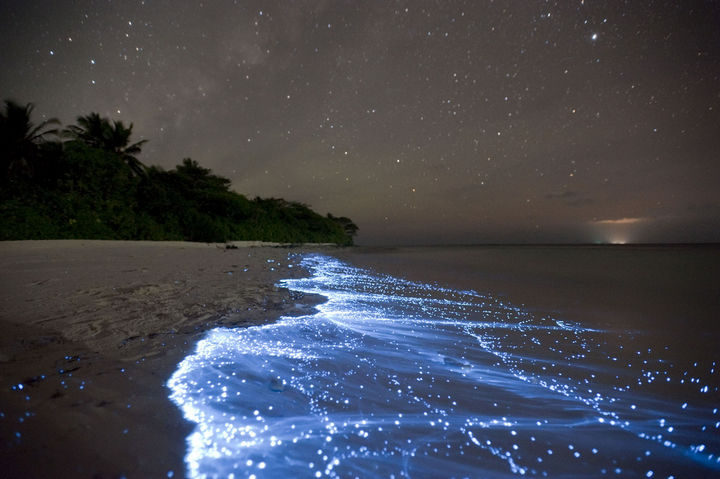 10 Amazing Nature Pictures - The luminescent shores of Vaadhoo, Maldives.