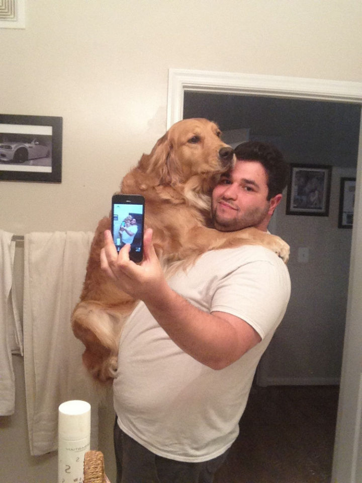 12 Huge Dogs That Still Think They Are Puppies - This dog loves to hug...adorable.