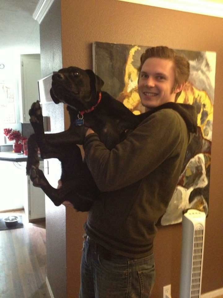 12 Huge Dogs That Still Think They Are Puppies - Not all of them like to be carried though...LOL!
