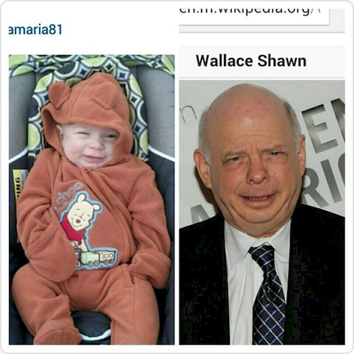 13 Babies That Resemble Celebrities or Something Else - Will the real Wallace Shawn please stand up? I can't tell the difference!