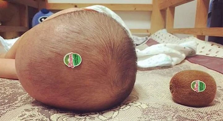 13 Babies That Resemble Celebrities or Something Else - His parents must love kiwi fruit! Real kiwi on the right for scale :)
