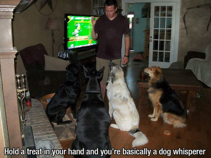 30 Things Only Dog Owners Will Understand - They also love treats!