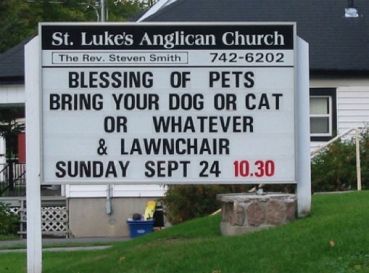 45 Funny Church Signs - Blessing of pets. Bring your dog or cat or whatever & lawnchair.