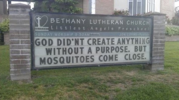 45 Funny Church Signs - God didn't create anything without a purpose. But, mosquitoes come close.