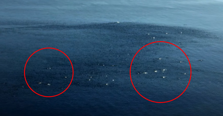 This Incredible Event in the Ocean Is So Rare, It Was Never Filmed…Until Now. OMG!!