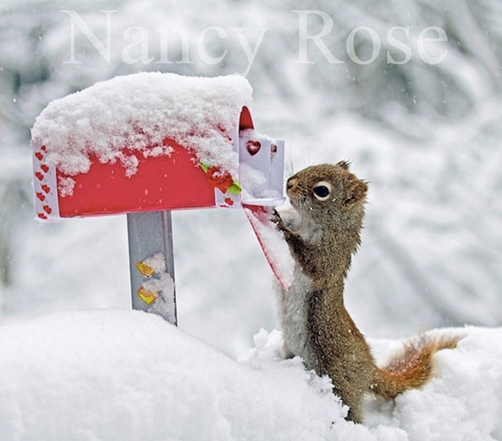 Nancy Rose captures whimsical photos and created children's books and calendars.