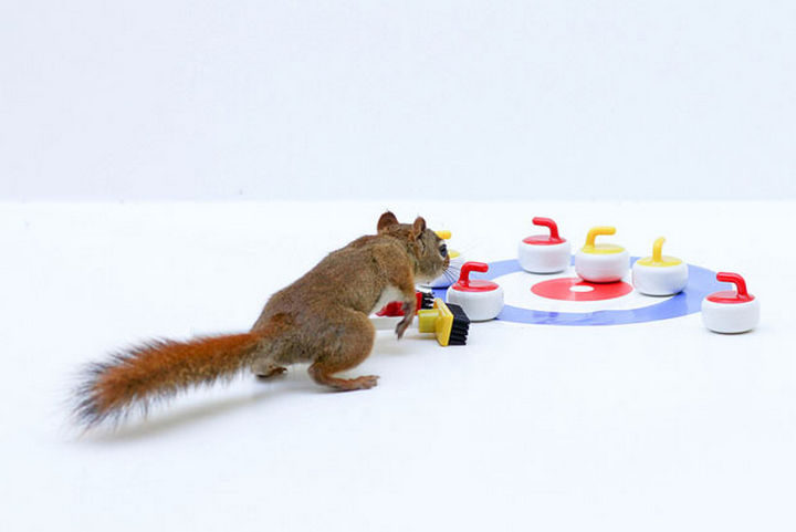 Taking a day to get in some curling practice!