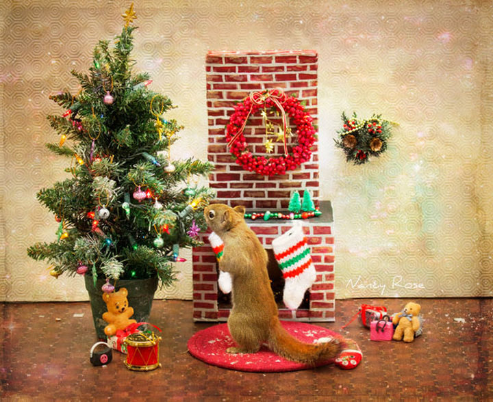 That Christmas tree look marvelous!