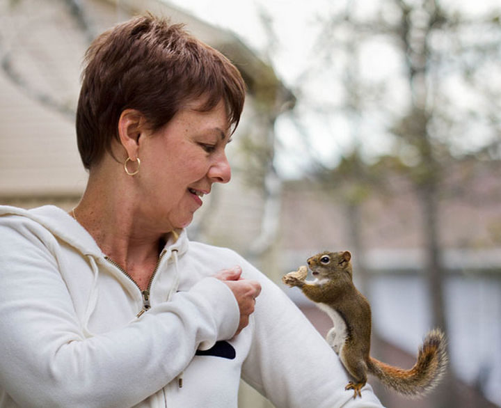Photographer Nancy Rose captures incredible moments with her friendly backyard squirrel she adorably calls "Mr. Peanuts."