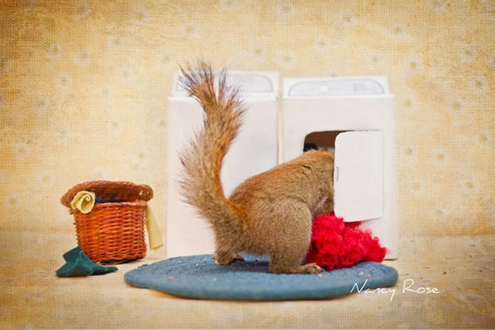 The laundry doesn't do itself!