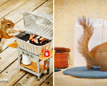 Canadian Photographer Does the Cutest Things With Backyard Squirrels!