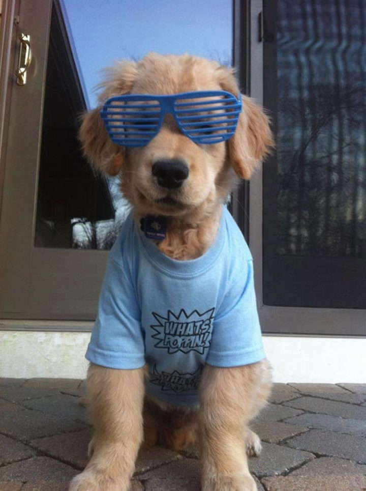 Stylin' with his shutter shades.