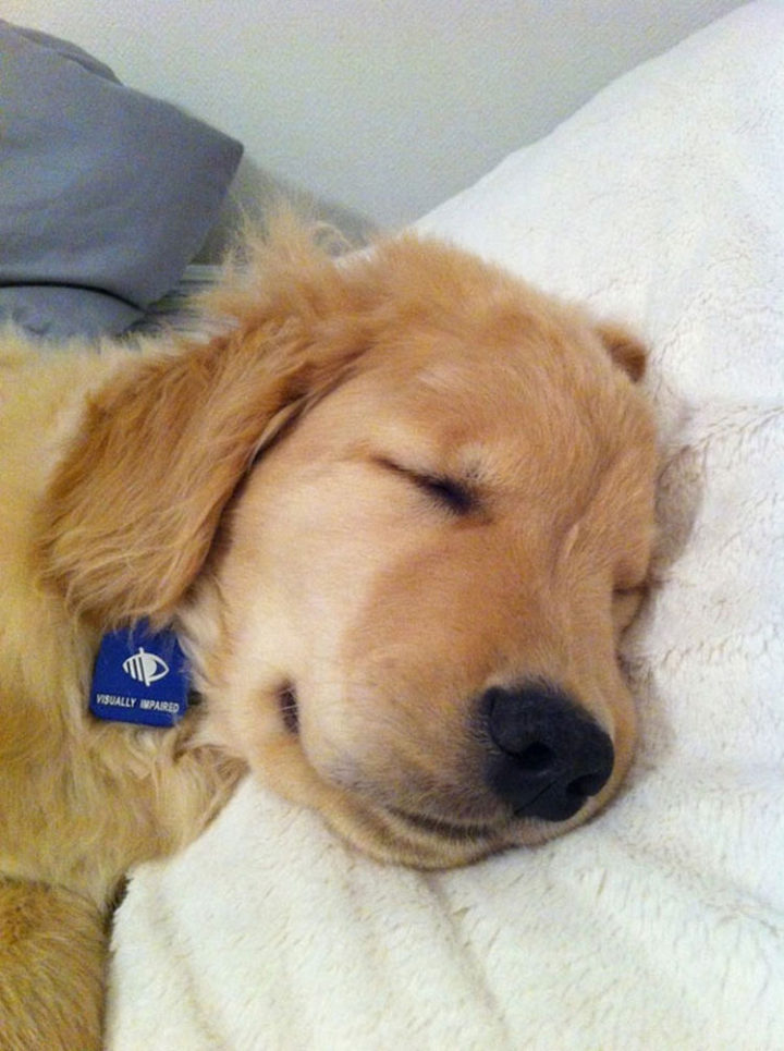 He wants to take a nap.