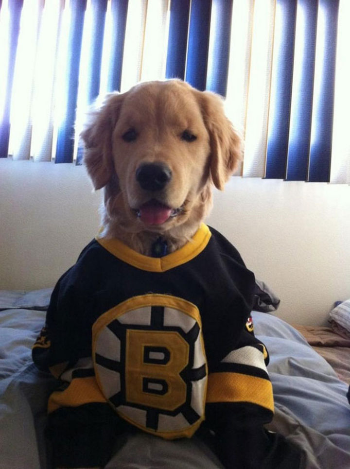 He's ready for the big game!
