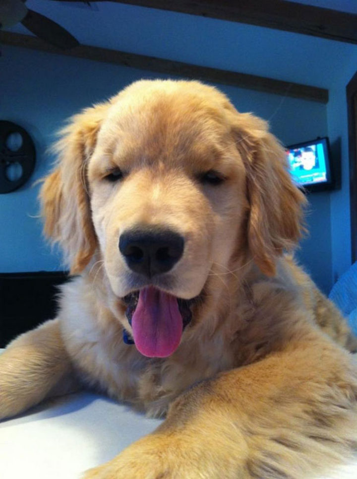 Ray Charles is so cute I just wanna hug him!