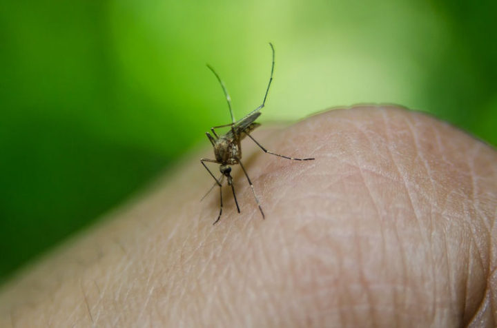 11 Vicks Vaporub Uses - Prevent insect bites.