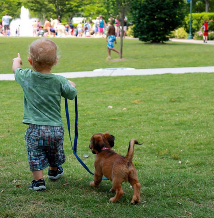 14 Dogs and Babies - A tiny walk in the park.