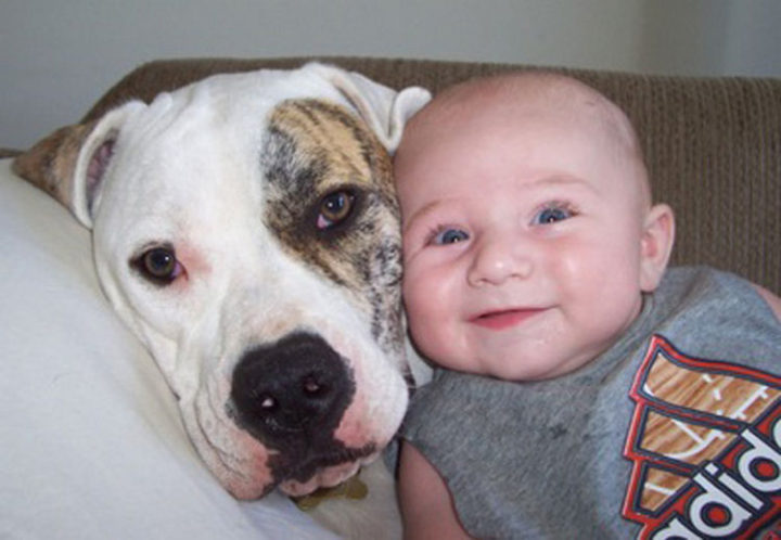 14 Dogs and Babies - Two smiling faces.