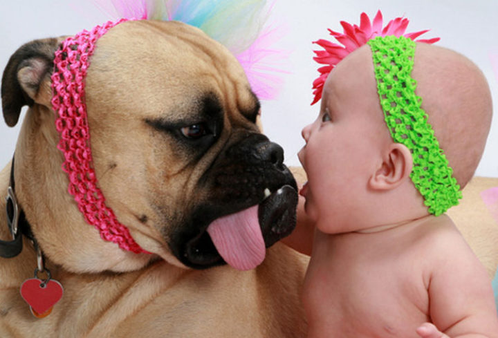14 Dogs and Babies - One word: Adorable.