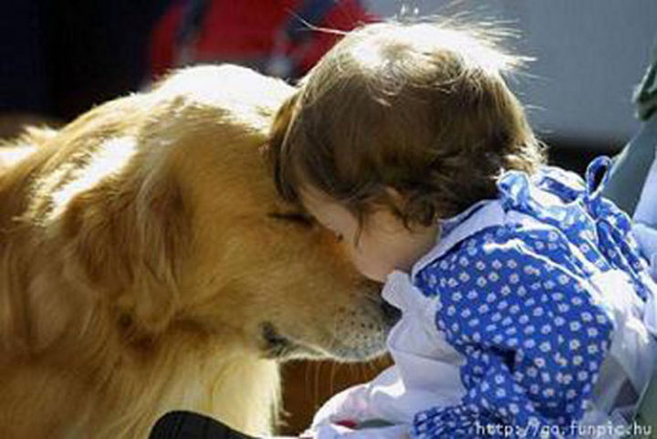 14 Dogs and Babies - These two were meant for each other.