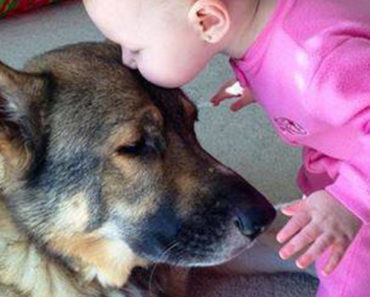 These 14 Dog-Child Best Friends Are So Cute That They Will Melt Your Heart