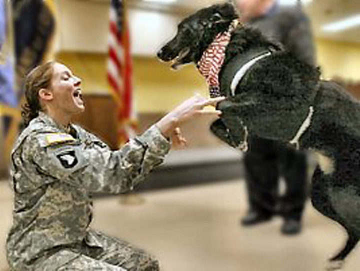 15 Emotional Photos of Soldiers Coming Home - Her dog is jumping for joy and so happy to see his mommy again.