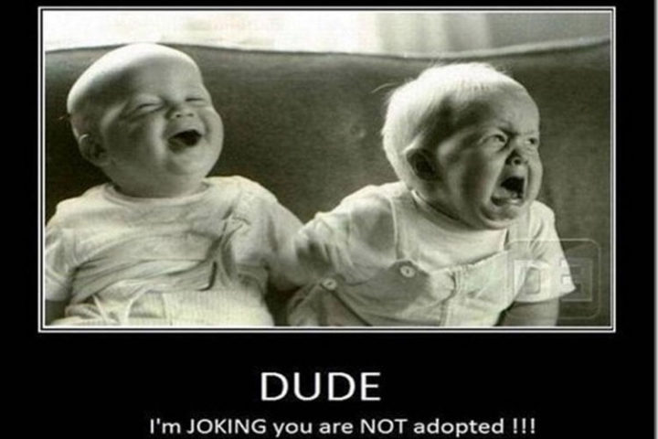"DUDE! I'm JOKING. You are NOT adopted!!!"