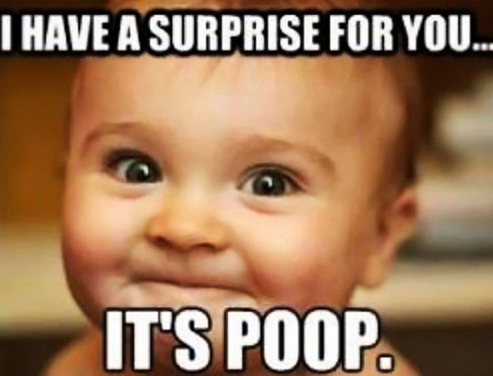 "I have a surprise for you...It's poop."
