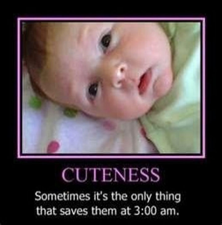 "Cuteness. Sometimes it's the only that saves them at 3:00 am."
