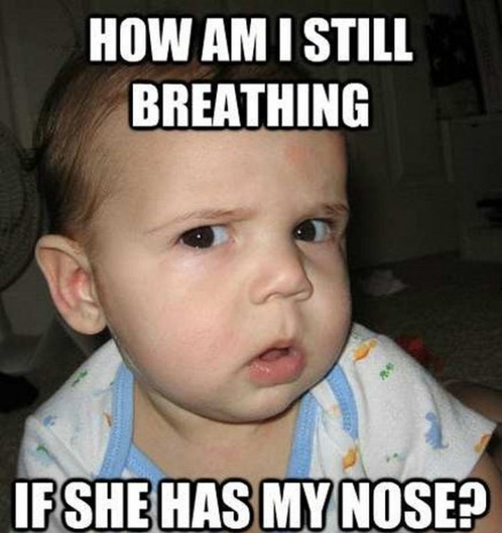 "How am I still breathing if she has my nose?"