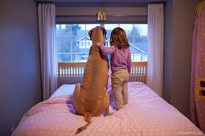 33 Adorable Photos of Dogs and Babies - Two girls spending time together.