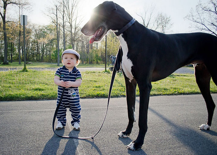 33 Adorable Photos of Dogs and Babies - A little boy and his best friend.