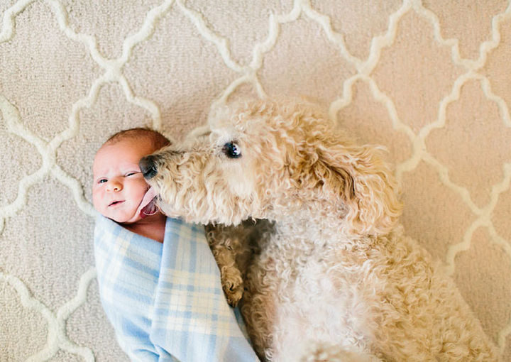 33 Adorable Photos of Dogs and Babies - "Welcome home, little one."